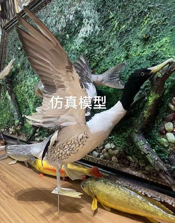 仿真鸭类定制